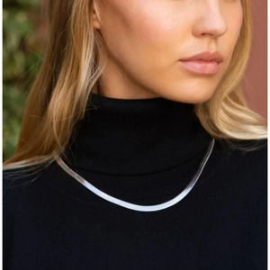 Jennifer Zeuner Allie Silver Plated Herringbone Necklace NWT